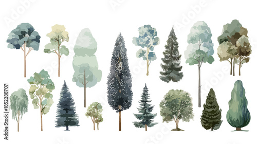 Zestaw akwarelowych ilustracji drzew iglastych i liściastych na przezroczystym tle, idealny do projektowania.