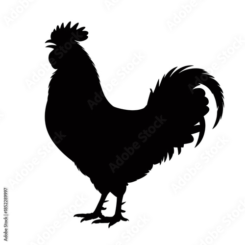 A rooster stands  The silhouette captures its distinct shape and feather detail.