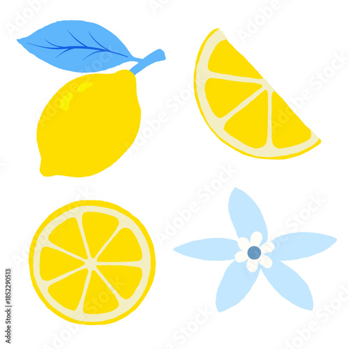 Lemon and Blue Flower Vector Elements Set, Citrus Illustration