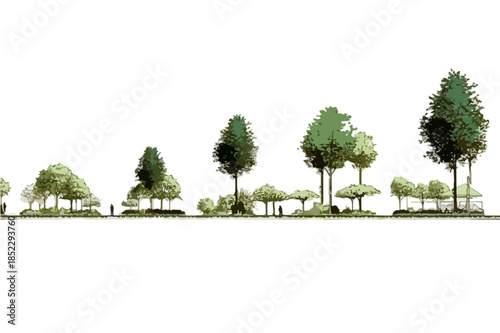 Illustrazione vettoriale di profili di alberi e vegetazione per progetti di architettura e paesaggismo su sfondo bianco.