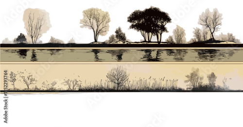 Silhouette di alberi invernali e vegetazione palustre con riflesso sull'acqua su sfondo trasparente.