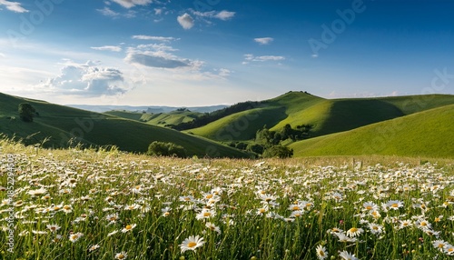 Scenic Meadow With Daisies And Rolling Hills
