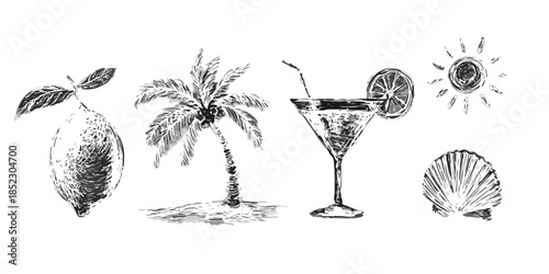 Conjunto de ilustraciones de verano dibujadas a mano: limón, palmera, cóctel, sol y concha marina.