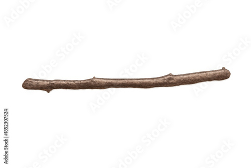 Dry wood branch with rough texture, isolated on transparent background, providing natural element for design