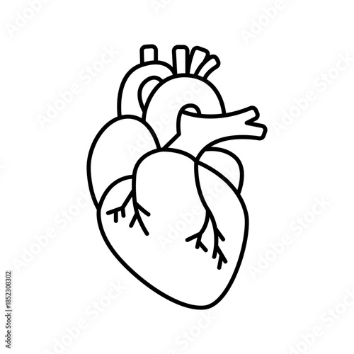 Human heart internal organ line art outline icon
