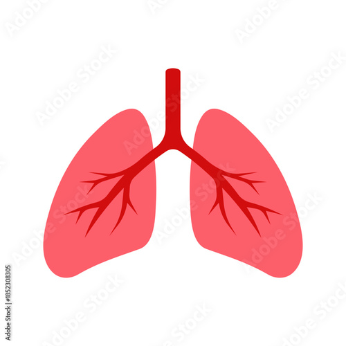 Human lungs respiratory system flat color icon vector
