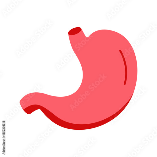 Human stomach digestive system flat color icon vector
