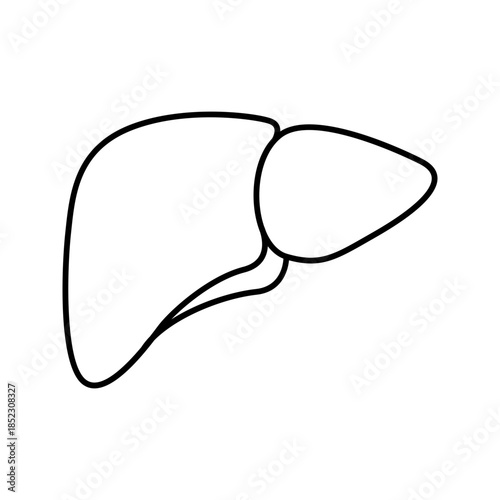 Human liver internal organ line art outline icon

