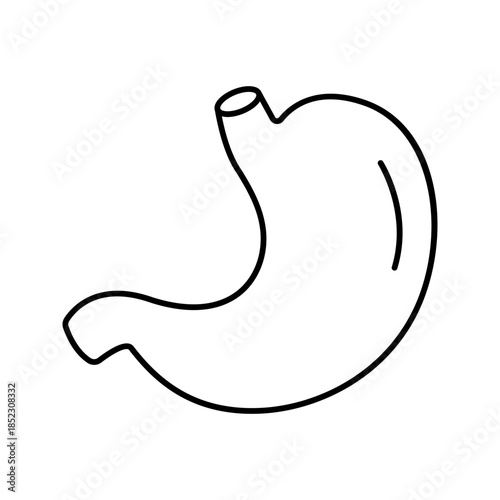 Human stomach digestive system line art outline icon
