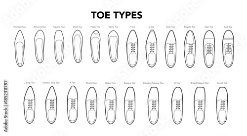 Toe types diagram single line pair. Pointed, almond, square shell shapes for learning, professional reference design education. Technical fashion illustration CAD mockup clean vector men women unisex