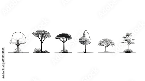 Conjunto de seis ilustrações vetoriais de diferentes árvores desenhadas em estilo esboço com fundo transparente.