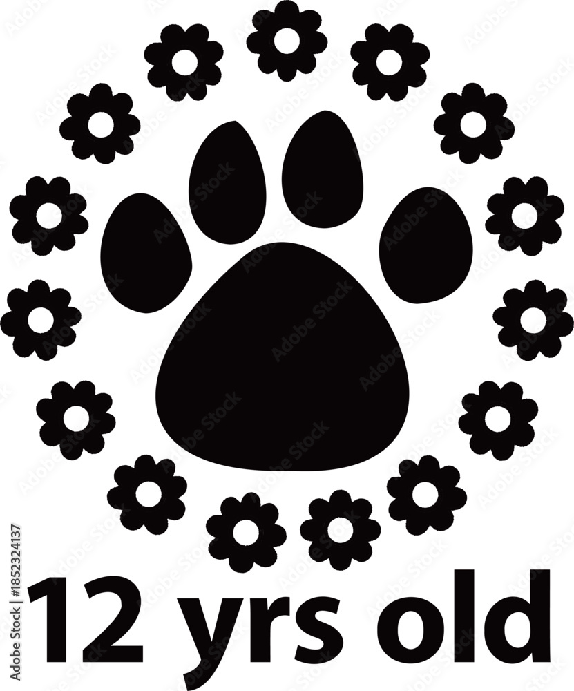 Fototapeta premium yearsold2-12
