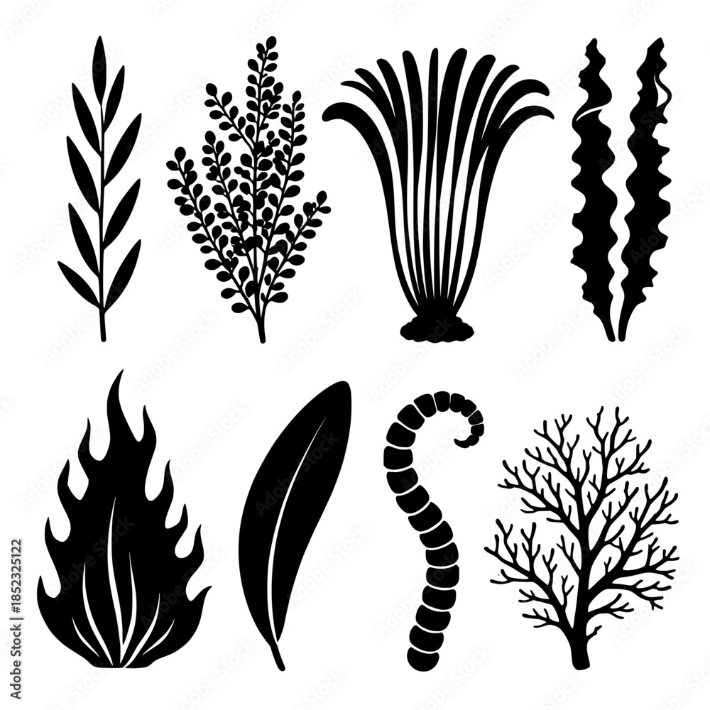 Fototapeta premium Botanical silhouette collection: assorted leaves, grasses, coral and feather shapes in vector form