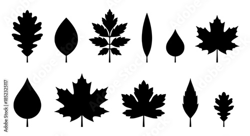 Two-row collection of diverse black leaf silhouettes in a clean vector illustration