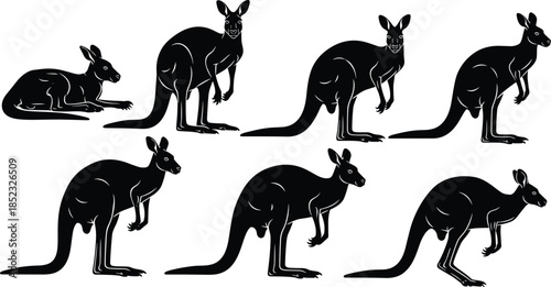Kangaroo silhouettes illustration, Australian wildlife artwork, animal posture study, kangaroo movement poses, crouching standing lying positions, fauna design, nature silhouette art