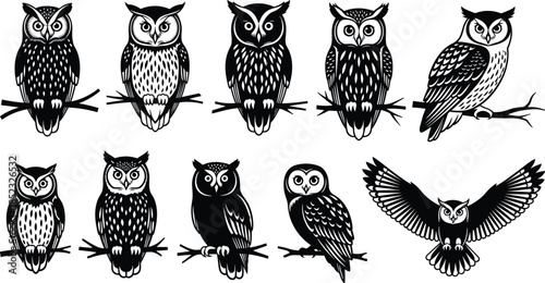 Owl silhouettes illustration, perched owl artwork, flying owl design, stylized bird composition, nocturnal wildlife art, feather pattern diversity, artistic animal posture