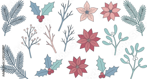 Hand drawn winter botanical elements set, Christmas flowers pine branches holly mistletoe berries festive illustration