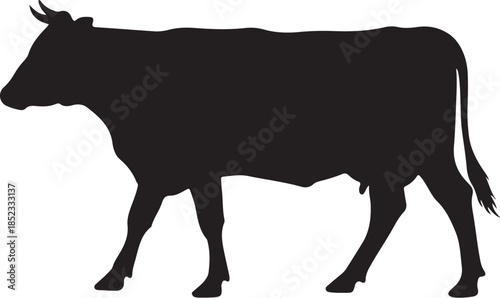 Cow Walking Calmly.eps