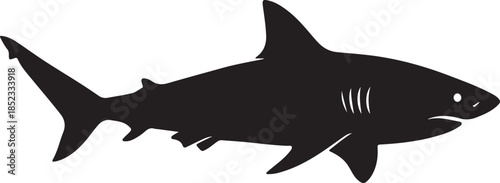 Shark Vector Silhouette
