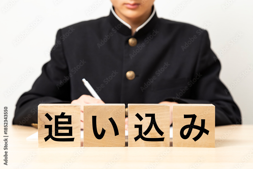 Obraz premium 「追い込み」と書かれたブロックと男子学生