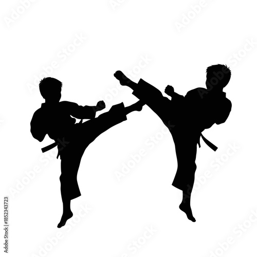 Dynamic silhouette of two male martial artists performing powerful high kicks in a synchronized display on an isolated white background.