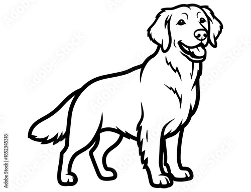 Golden Retriever illustration: A charming illustration captures the likeness of a golden retriever, a beloved companion with its friendly demeanor, and inviting pose.
