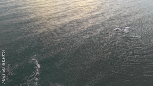 Wallpaper Mural Balneario Camboriú.  Ocean surface with waves and sunlight reflections.  Torontodigital.ca