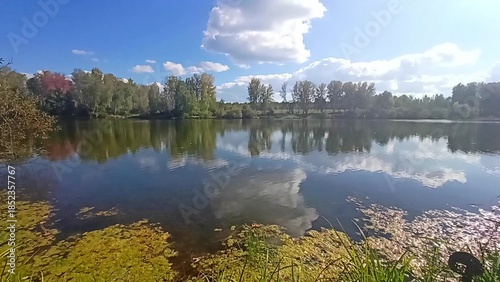 Reflection of clouds in the calm surface of a beautiful lake surrounded by a beautiful forest on a sunny summer evening.