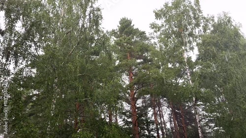 Oil Pump Jack Operates on Beautiful Sunset at Oil Field in Industrial Area. Crude pump jack working on sunrise in oil field. Oil drill rig, drilling derrick in oilfield. Crude petroleum industry. 