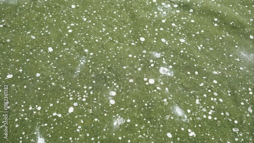 Textured green surface with white speckles abstract background