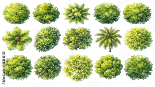 Vector illustration set of green trees and floral leaves featuring spring garden plants and eco environment design elements for nature beauty