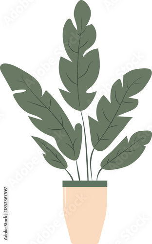 vector illustration of a plant