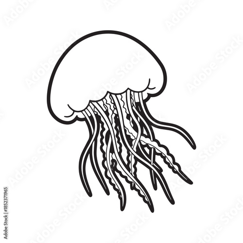 Jellyfish Illustration with Tentacles