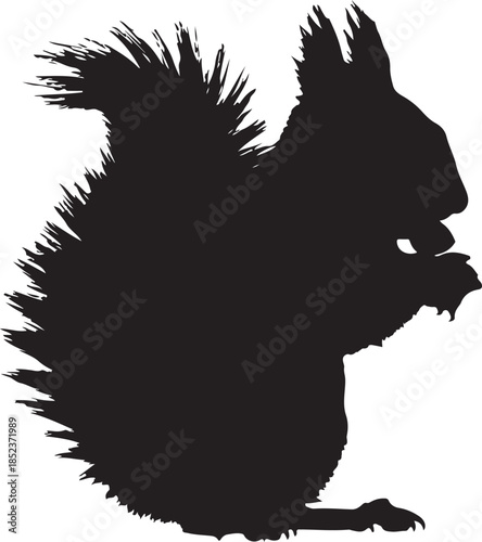 Black silhouette of a squirrel eating a nut on white background animal