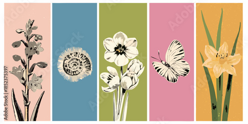 Colorful botanical illustration featuring flowers a fern a butterfly and spiral designs