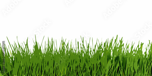 A simple illustration of green grass blades against a white background