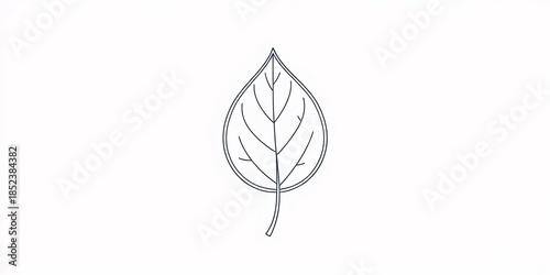 Simple, minimalist line drawing of a single leaf, leaf icon line, botanical