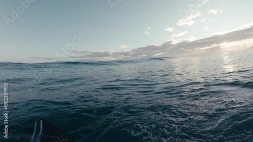 POV. Surfer shows having fun looking at wave in Atlantic ocean during sunrise.
