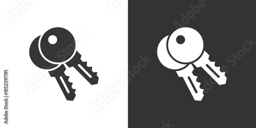 Security Keys icon. Solid glyph series icon