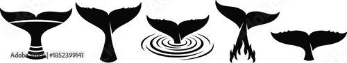 Black silhouette collection of whale and dolphin tails diving into water ripples isolated on white background for marine life design,