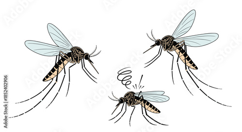 A set of three detailed, hand-drawn style illustrations shows mosquitos in various states, including one appearing dizzy.