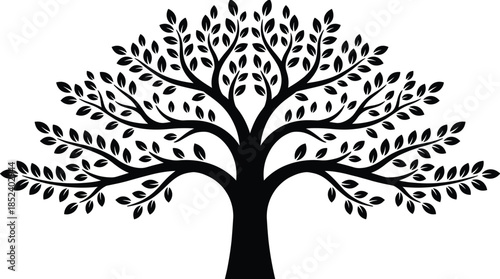 Decorative tree silhouette with branches and leaves, nature growth symbol, family roots ecology harmony isolated vector illustration design