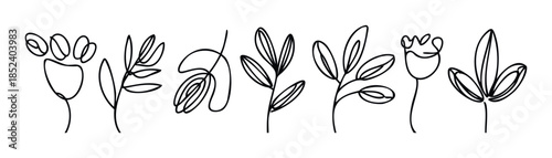 Minimalist line drawings of various botanical elements including leaves and flowers, perfect for naturethemed projects and organic branding applications.