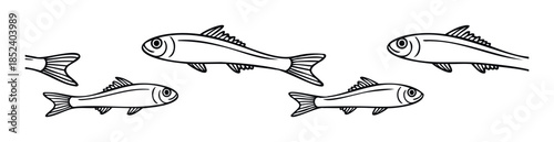 School of small fish swimming in unison representing unity, teamwork, and natural movement, perfect for aquatic themes and conservation messages.