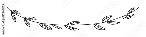 Whimsical black line drawing of a delicate vine with leaves curving gracefully across a white space for decorative purposes.