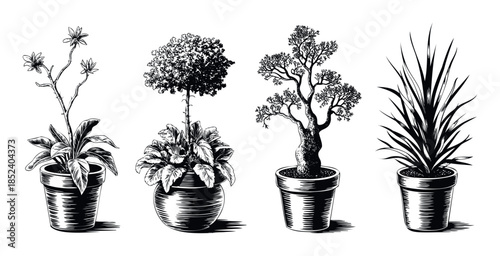 Collection of stylized potted plants including a flowering specimen, a topiary, a bonsai, and a spiky plant, perfect for natural decor and botanical themes.