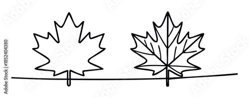 Two stylized maple leaves, one outlined and one with veins, displayed on a horizontal line symbolizing nature or Canadian identity, perfect for autumn themes or graphic projects.