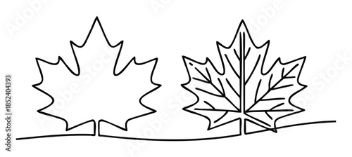 Two simplified maple leaf outlines presented side by side, one detailed with veins and stem, ideal for autumn themes and nature symbols.