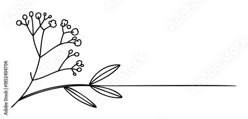Delicate thin line drawing of a branch with berries and leaves extending horizontally for elegant decorative framing and graphic accents in natural themes.