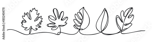 Minimalist continuous line drawing of diverse organic leaf shapes in a row, ideal for nature themed designs and botanical graphics.